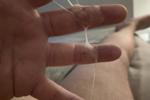 web shot