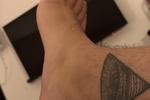 zaboo raccoon — Feet