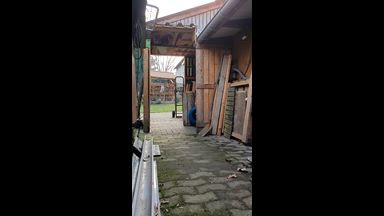 iwalknaked live streaming profile