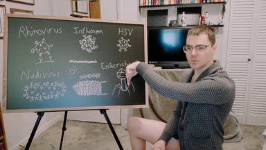 Size Doesn't Matter - Viruses Uncensored 101