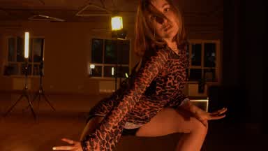demoversion)