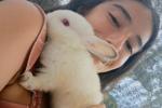 How about this cute bunny? 🐰