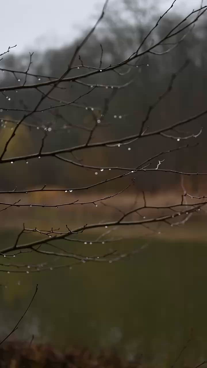 My autumn through the lens 🍂