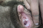 creamy cream pie
