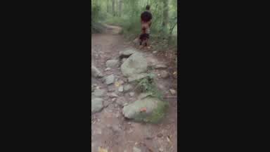 I had to water the grass