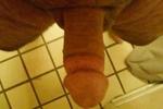 my cock