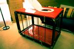 lildickman โ my cage