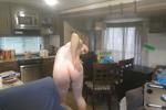 buttnaked4u1 live Chaturbate webcam gallery thumbnail