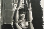 shibari dream