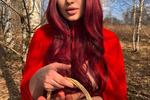 Hot Little Red Riding Hood