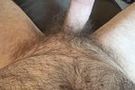 Bush or No Bush?