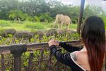 my favorite animals