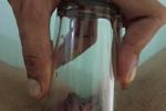 erica gonzalo — MY BIG CLITORIS