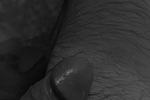 Black and White Cum Pics
