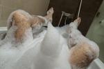 spanish gym โ shower time