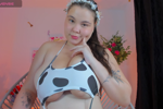 cute cow
