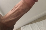 Cock