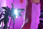 Sexy selfies