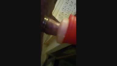 Fleshlight