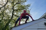 My spidey Spence's are tingling
