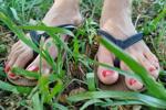 A walk in Sandalia