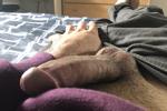 Dick