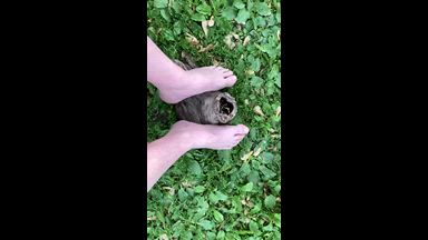 feet