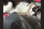 franki ๐ โ more of my baby