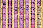 Panty Sale Options