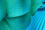 fat ass