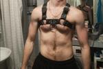 harness