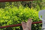 Imagine my soft feet touching each part of you!