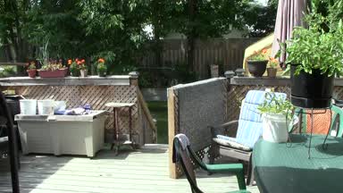 Back yard preview
