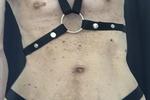 Harness