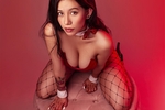 Bunny & Heels