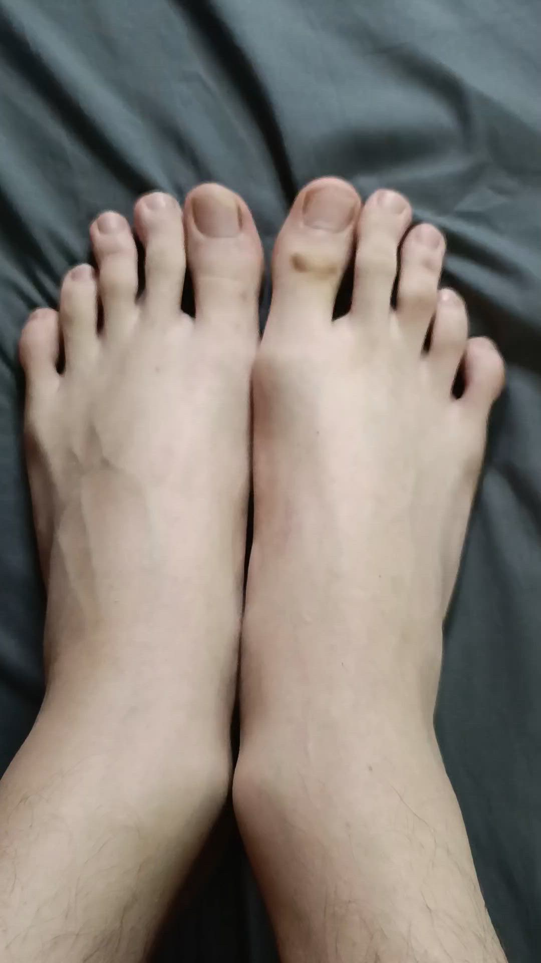 Max`s feet close-up