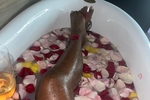 Have a bath with me ♥