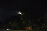 a beautiful moon🌃🍃🌿🌳