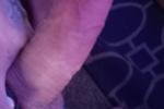 Cock!!