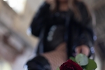 preview to new album