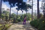 Weekend!🌳🍀🍃🌺