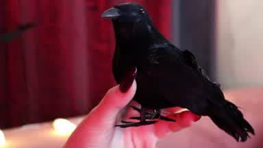 Happy Halloween!