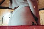 ass