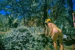trixy rose live Chaturbate webcam gallery thumbnail