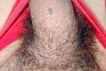 hairy cock sexy 💛
