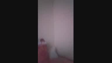 Vids