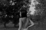 summer