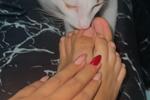 coco 🐈❤️‍🩹