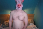 Piggy Series