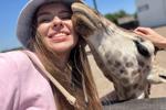 The Giraffe and Me